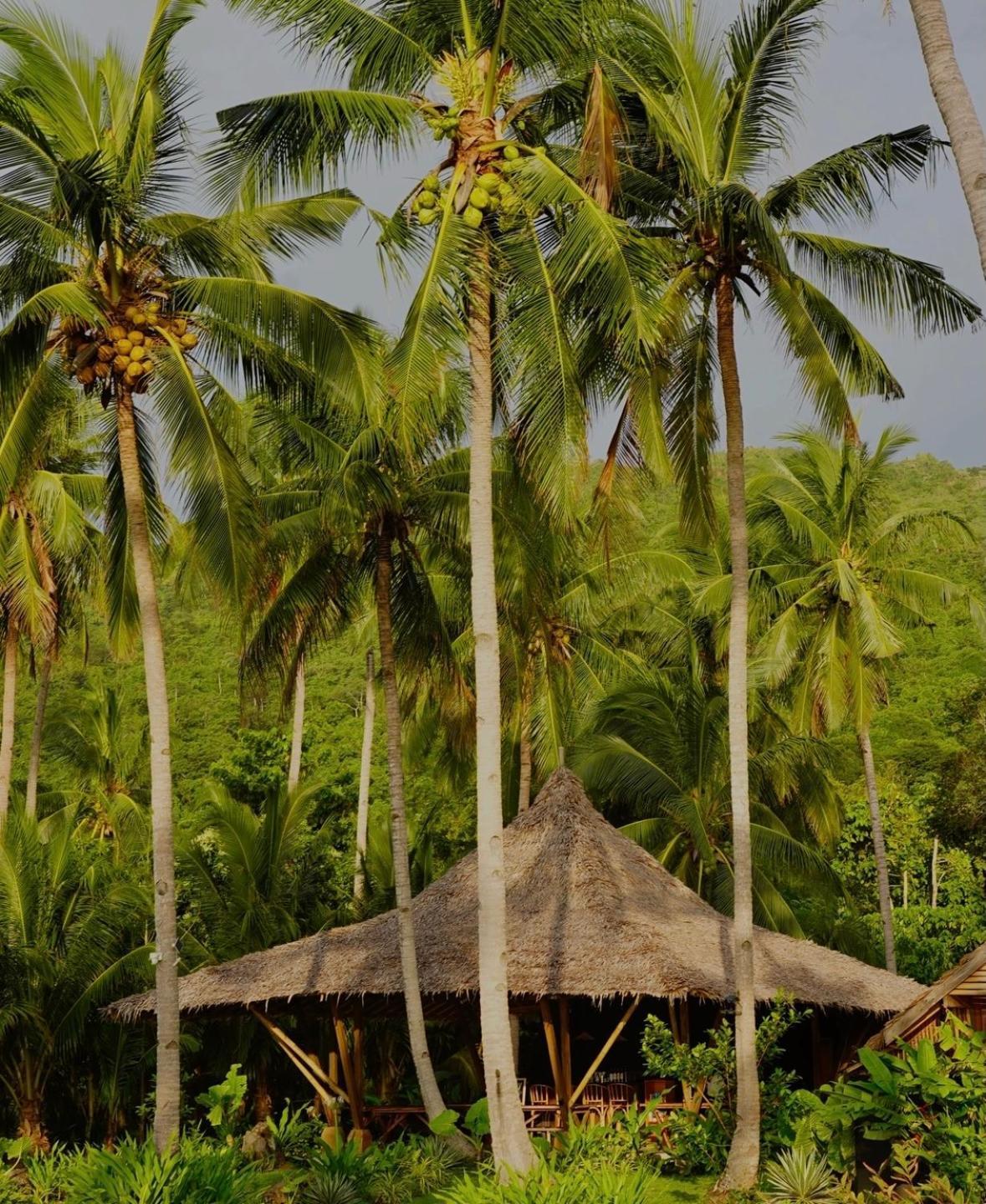 Eco Sanctuaries Nature Lodge Nacpan Beach, El Nido Esterno foto